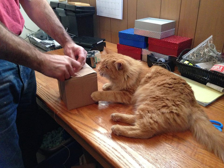 pottery-cat